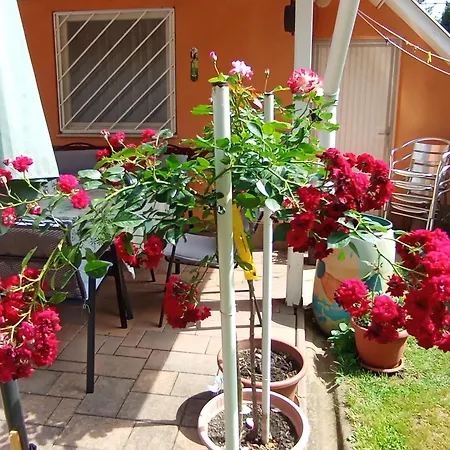 Appartement Marika