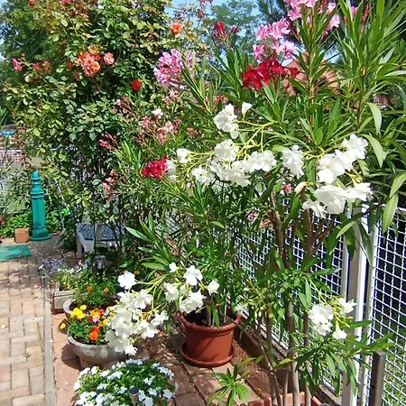 Marika * Hajduszoboszlo